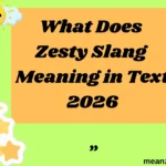 What Does Zesty Slang Meaning in Text