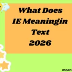 What Does IE Meaningin Text