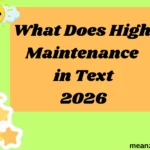 What Does High Maintenance in Text