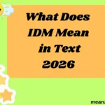 What Does IDM Mean in Text