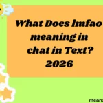 What Does lmfao meaning in chat in Text?