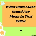What Does LGBT Stand For Mean in Text