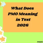 What Does PMO Meaning in Text