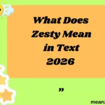 What Does Zesty Mean in Text