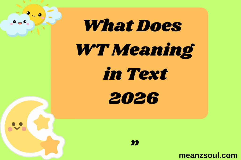What Does WT Meaning in Text