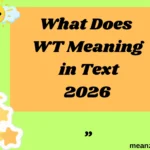 What Does WT Meaning in Text