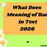 What Does Meaning of Bae in Text