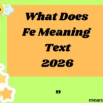 What Does Fe Meaning Text