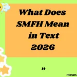 What Does SMFH Mean in Text