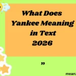 What Does Yankee Meaning in Text