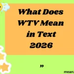 What Does WTV Mean in Text