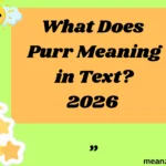 What Does Purr Meaning in Text?
