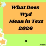 What Does Wyd Mean in Text