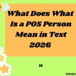 What Does What Is a POS Person Mean in Text