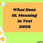 What Does OL Meaning in Text