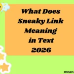 What Does Sneaky Link Meaning in Text