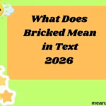What Does Bricked Mean in Text