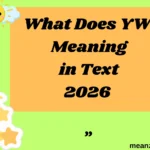 What Does YW Meaning in Text