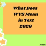 What Does WYS Mean in Text