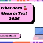 What Does 🍒 Mean in Text
