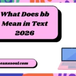 What Does bb Mean in Text