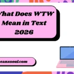 What Does WTW Mean in Text